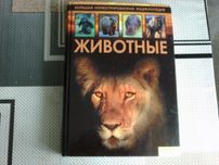 Книга Большая иллюстрированная Энциклопедия! ЖИВОТНЫЕ