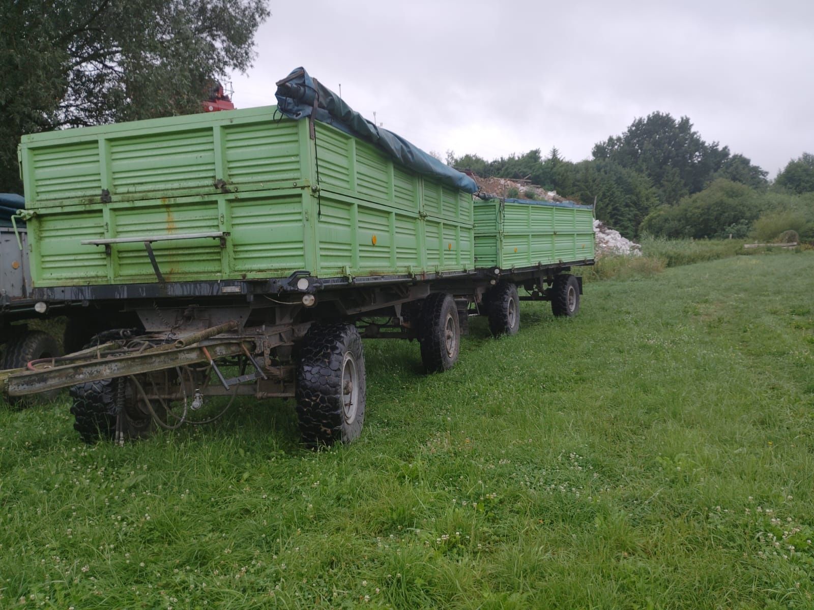 Przyczepa hl  8011 brandys