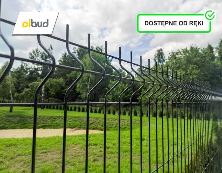 Ogrodzenie panelowe 3D Kwidzyn cena 1mb 1230 GRAFIT panel ogrodzeniowy