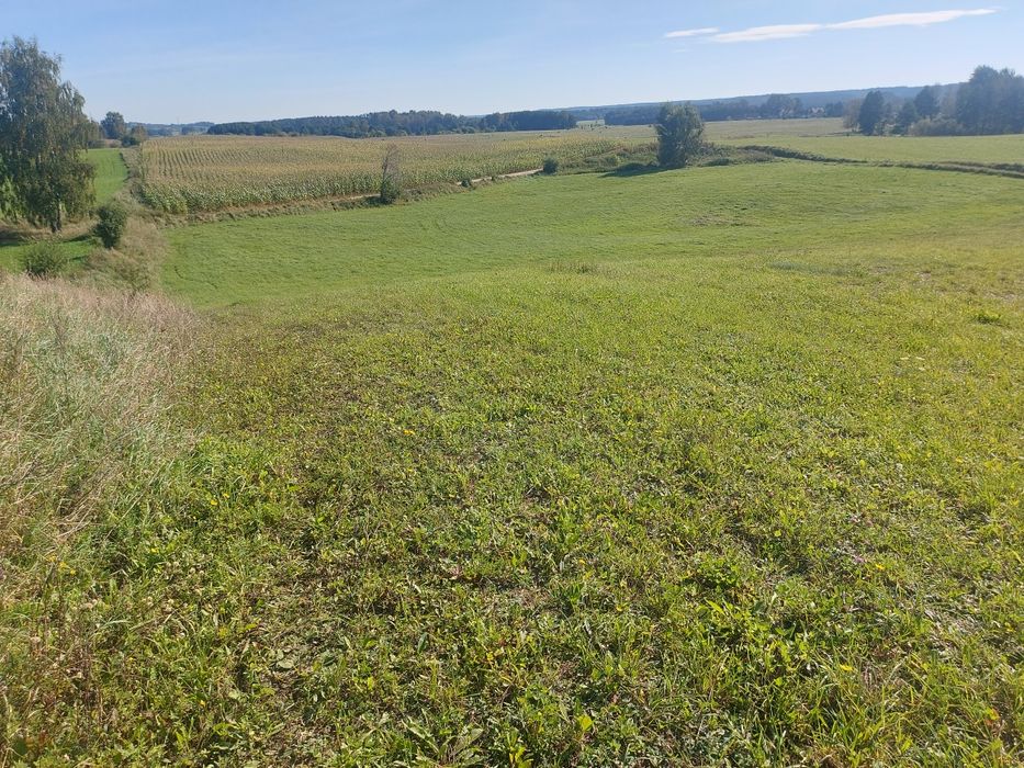 Działka rolna Porbady