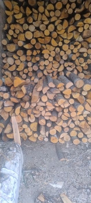 Доставка дров різних порід
