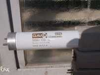 Lampadas florescentes novas 1.5m