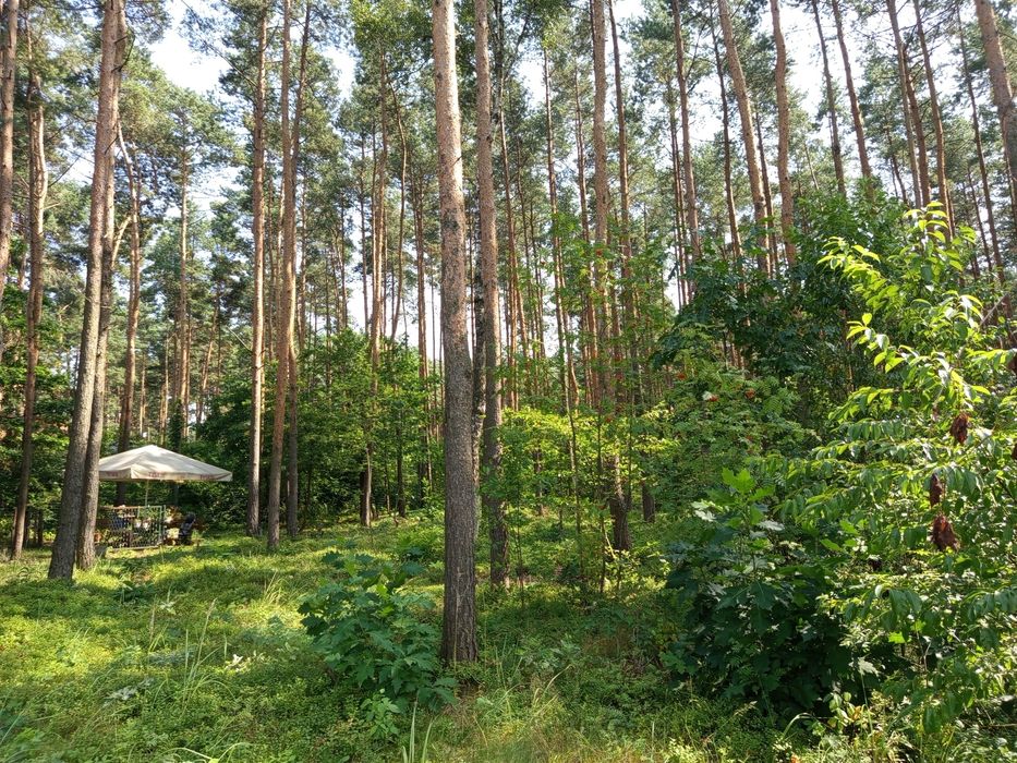 Magiczne miejsce nad Zalewem Nakło Chechło