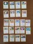 Karty pokémon TCG oryginalne