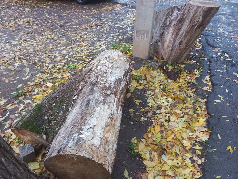 Безкоштовно на дрова