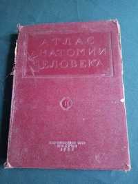 Атлас анатомии человека авт.В.П.Воробьев  1938г.