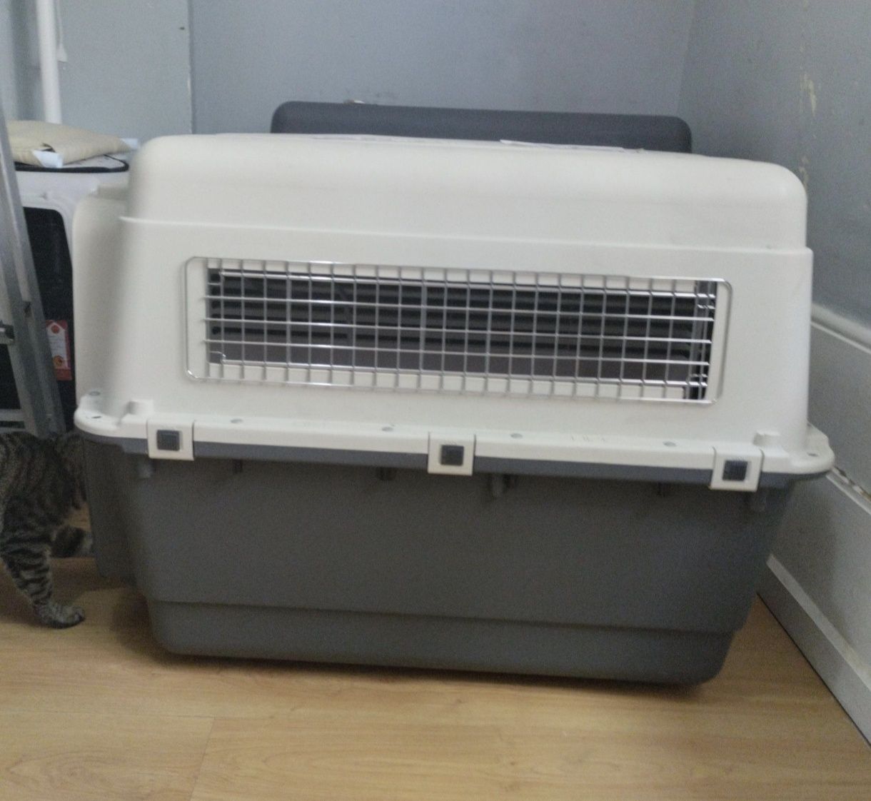 Caixa de transporte para cão XL 400