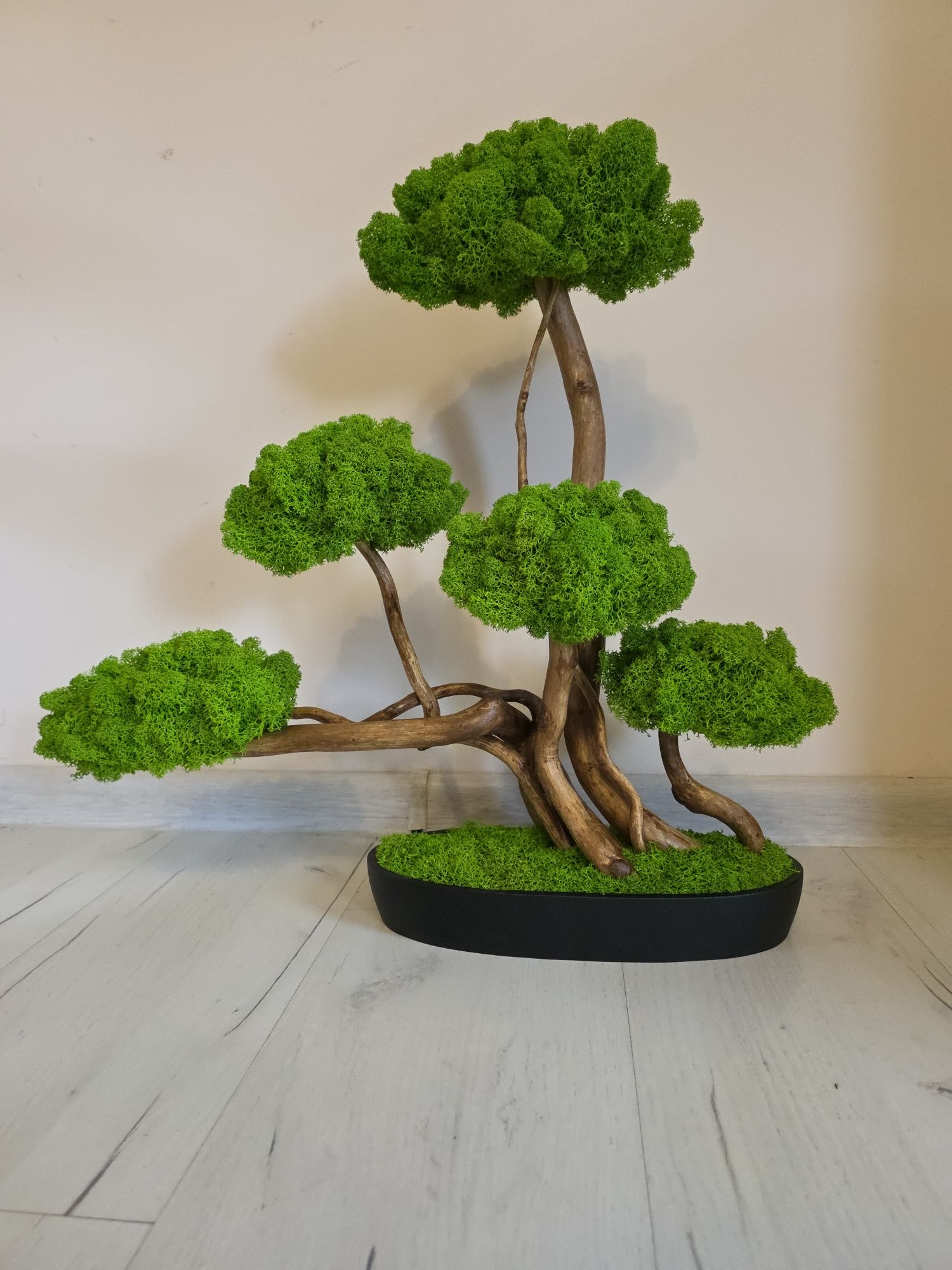 Drzewko bonsai Duże 50 cm.Mech Chrobotek. Dekoracje wnętrz. Prezent .