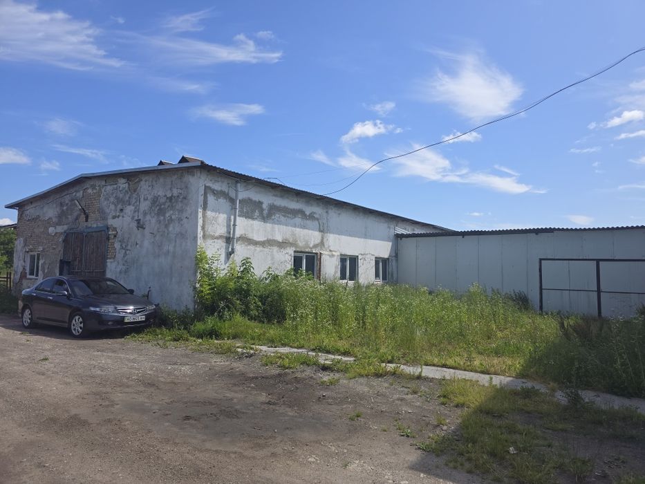 Цех виробництво шпону