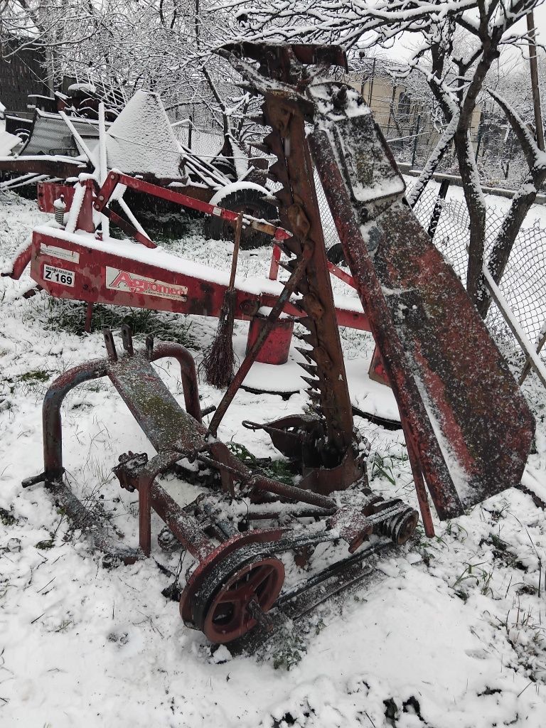 Косалка сегментна