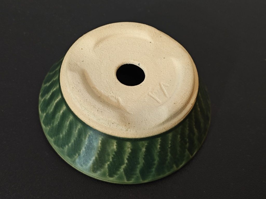 Vaso de acompanhamento bonsai
