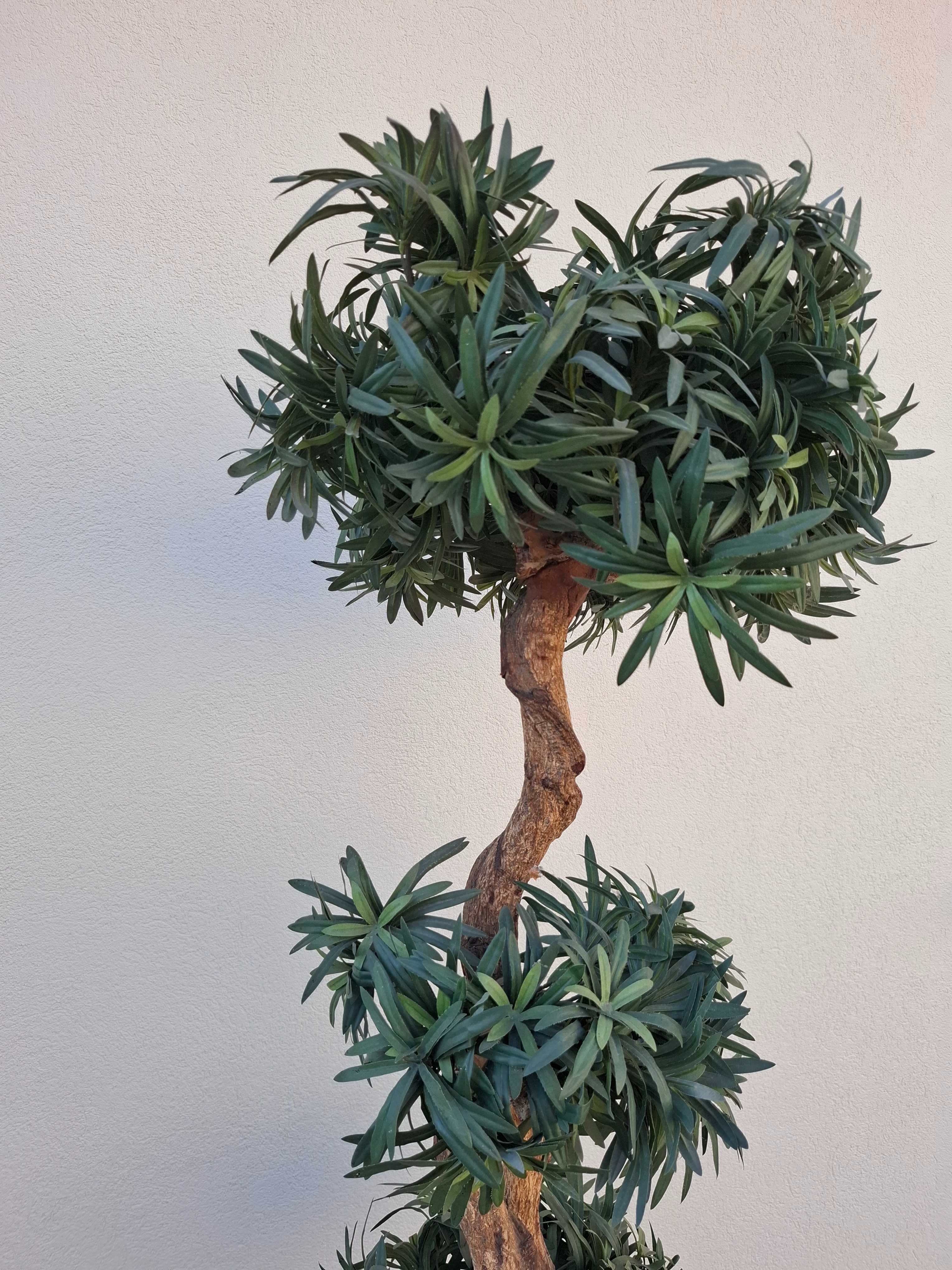 Bonsai artificial
