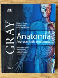 Anatomia Gray+ pytania testowe