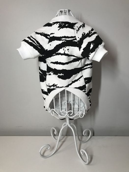 Modna bluza zebra ubranko dla psa typu york maltanczyk XS S