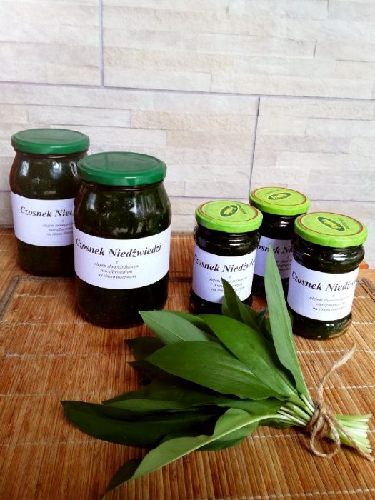 Czosnek niedźwiedzi PESTO, mielony, słoiki oraz świeże liście 25zł/kg