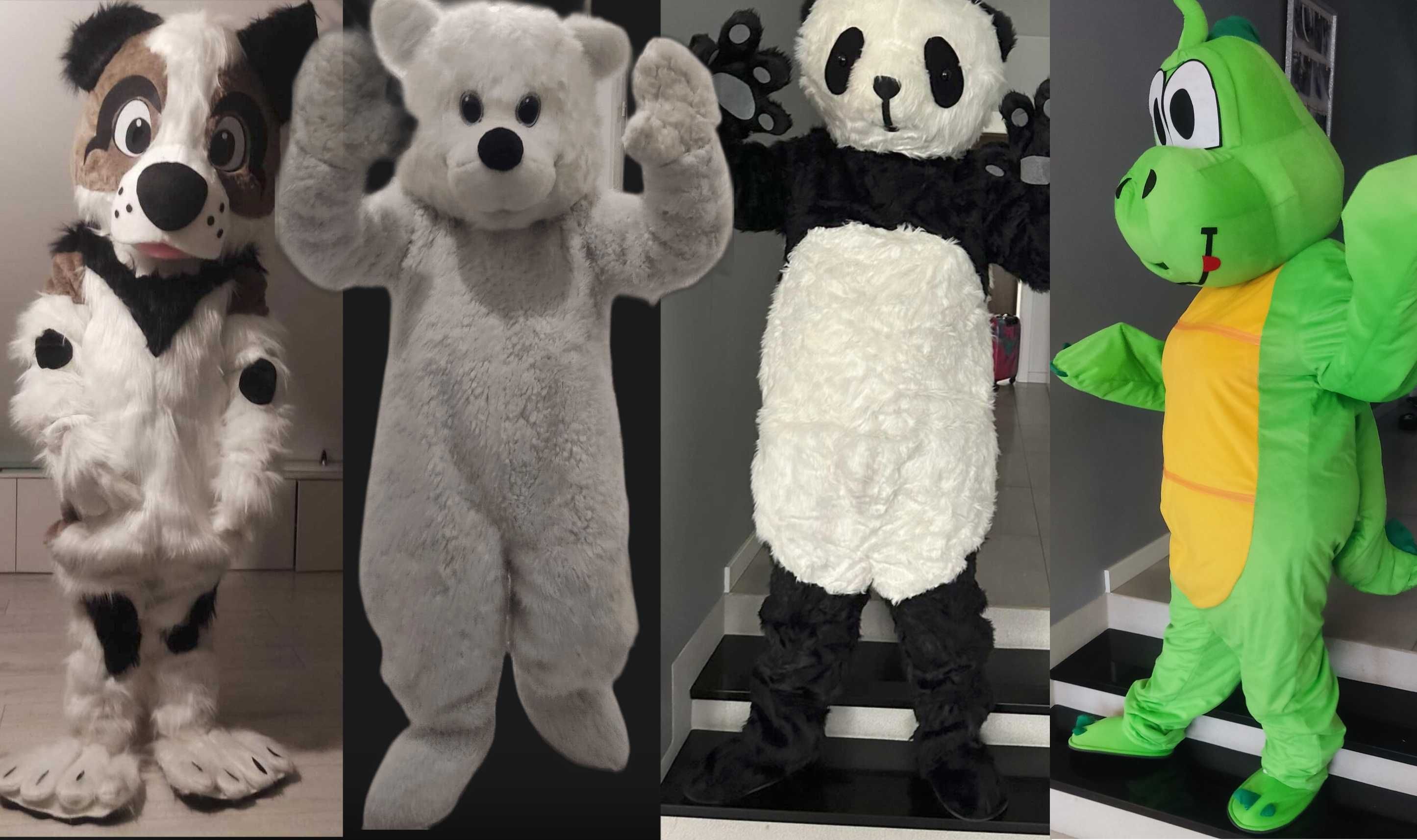 Żywe maskotki wynajem wysyłkowy strojów Misio Piesek Panda Kot Smok