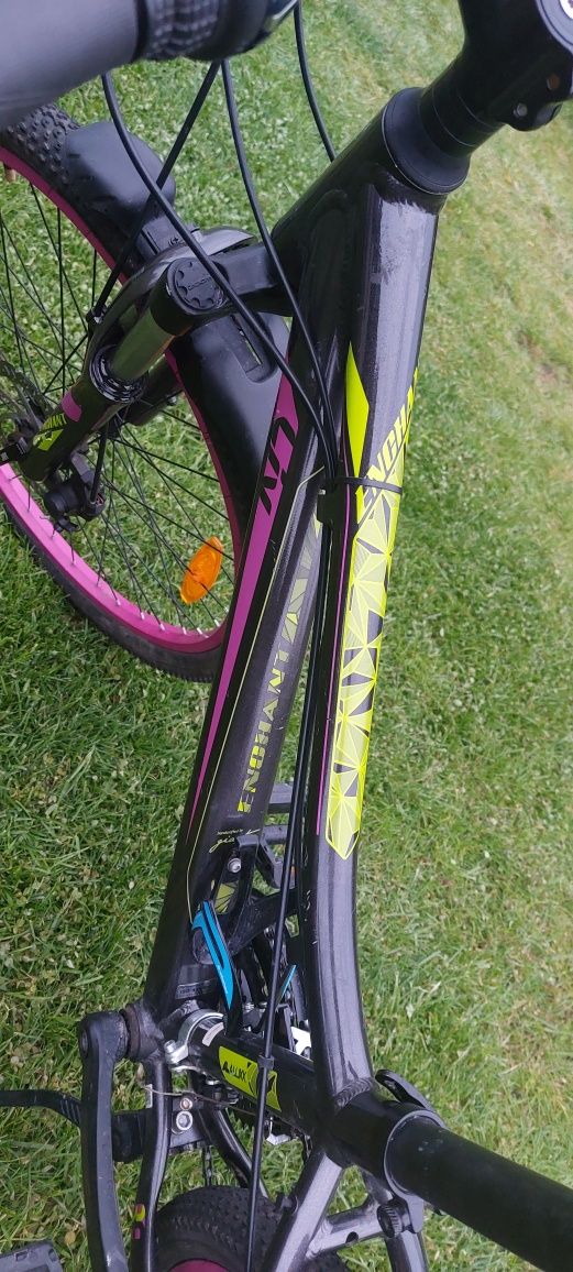 Giant Liv Enchant 1 disc 24"