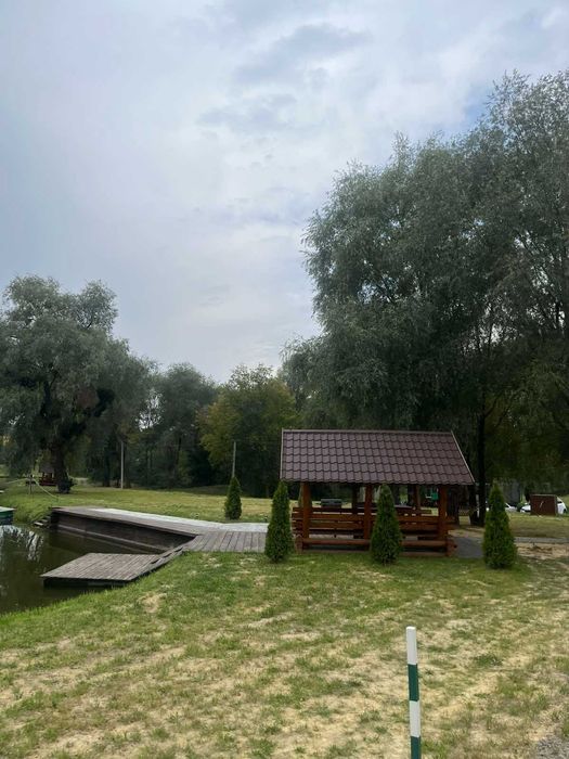 Продаж гарного діючого бізнесу Fish Forest