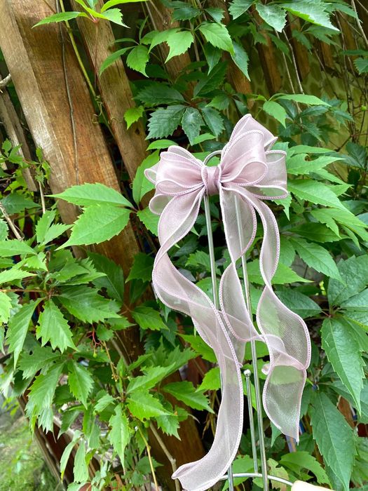 Банти в школу та садочок