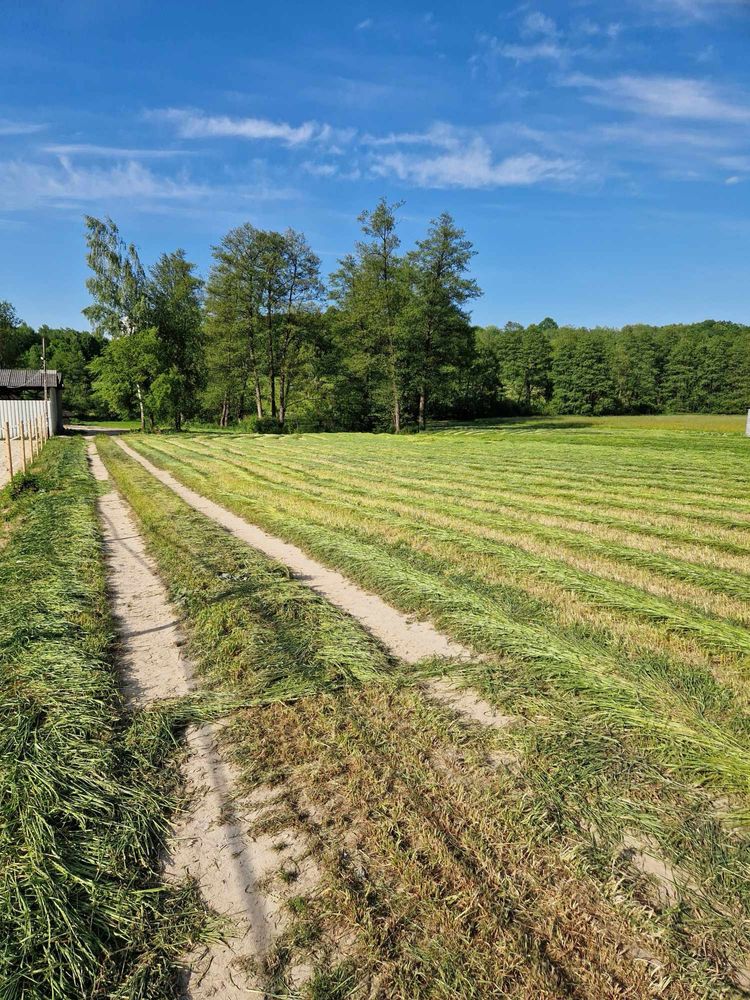 Dom z działką 6800m2 przy rzece Nałęczów