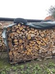 Drzewo liściaste