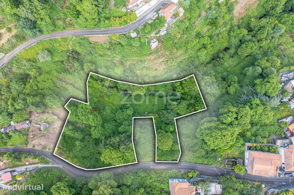 Terreno Rústico – Camacha, Ilha da Madeira