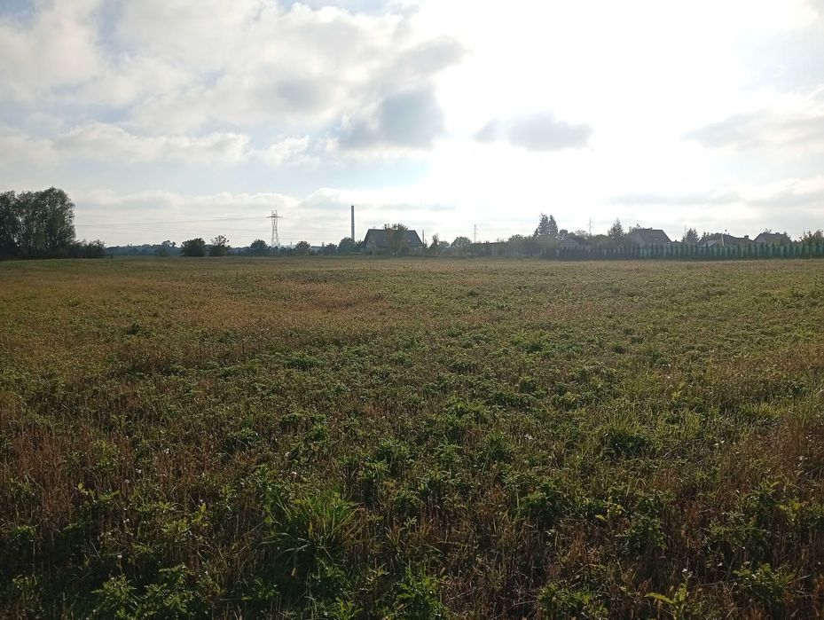 Sprzedam 3 działki rolne 1,7 ha Okszów kl IV plus droga i dwa stawy