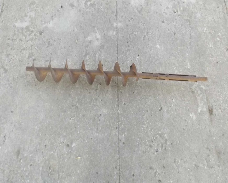 Zmyjki zborzowe /ślimaki transportowe