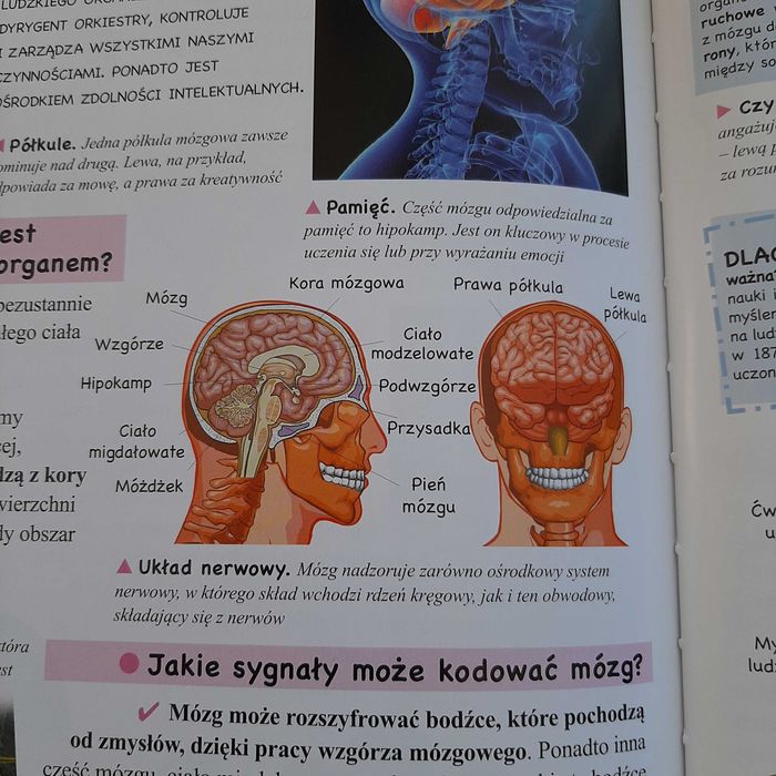 Książka pt.: "Księga pytań"