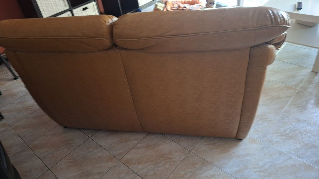 Conjunto de SOFAS PELE