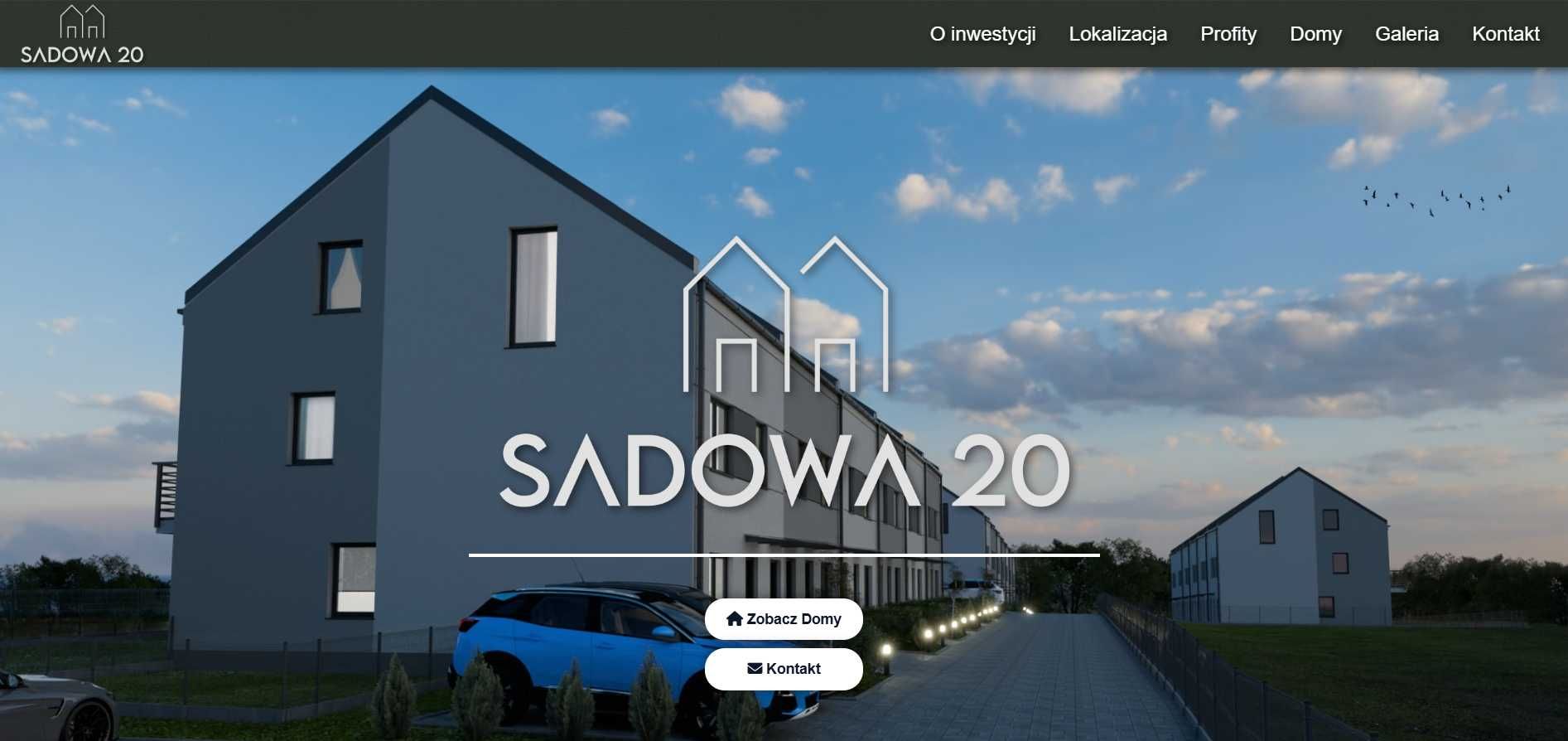 Tworzenie profesjonalnych stron internetowych