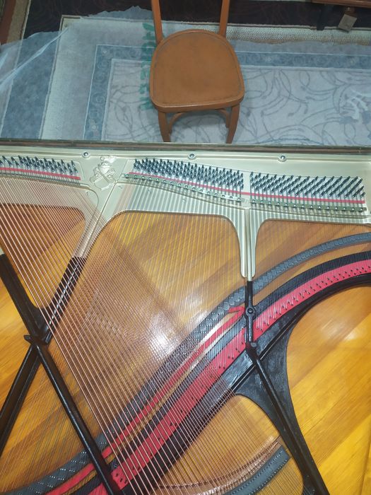 Настройка фортепіано (майстер-реставратор)