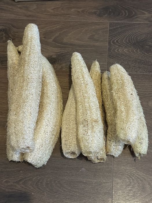 Люфа. Губка люфа. Мочалка люфа