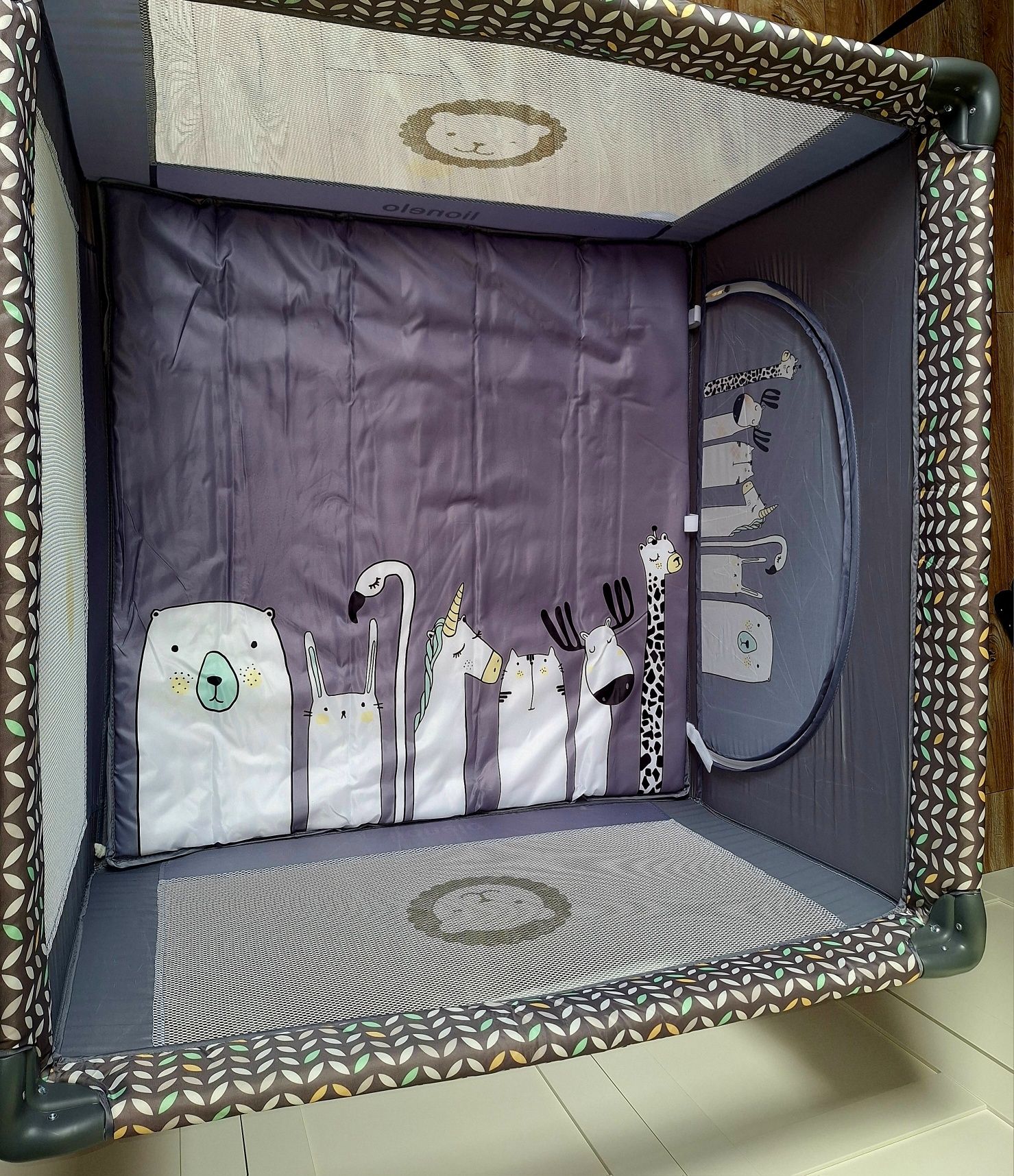 Kojec Lionelo  100x100