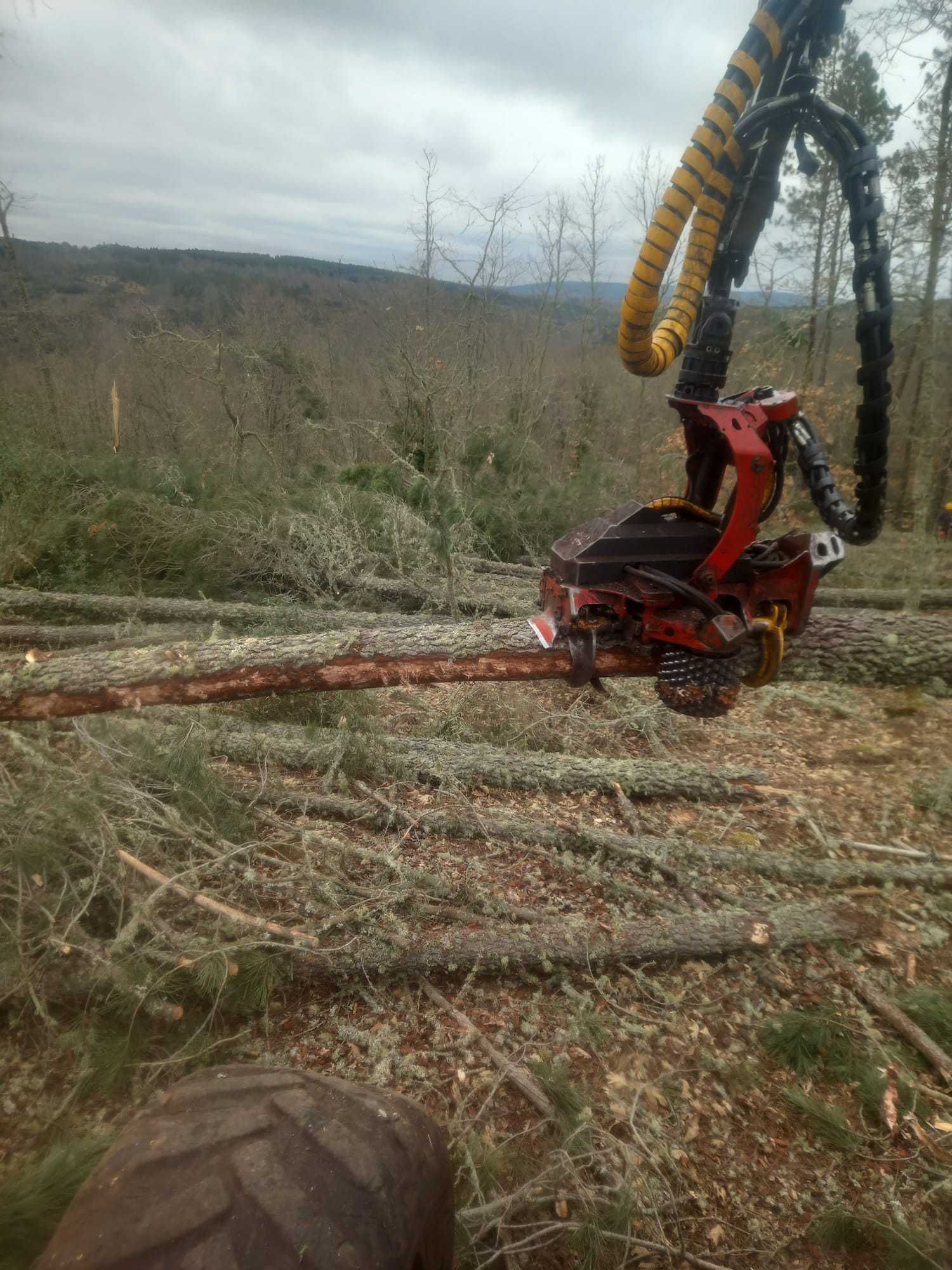Máquina corte - Harvester - Komatsu 901.3