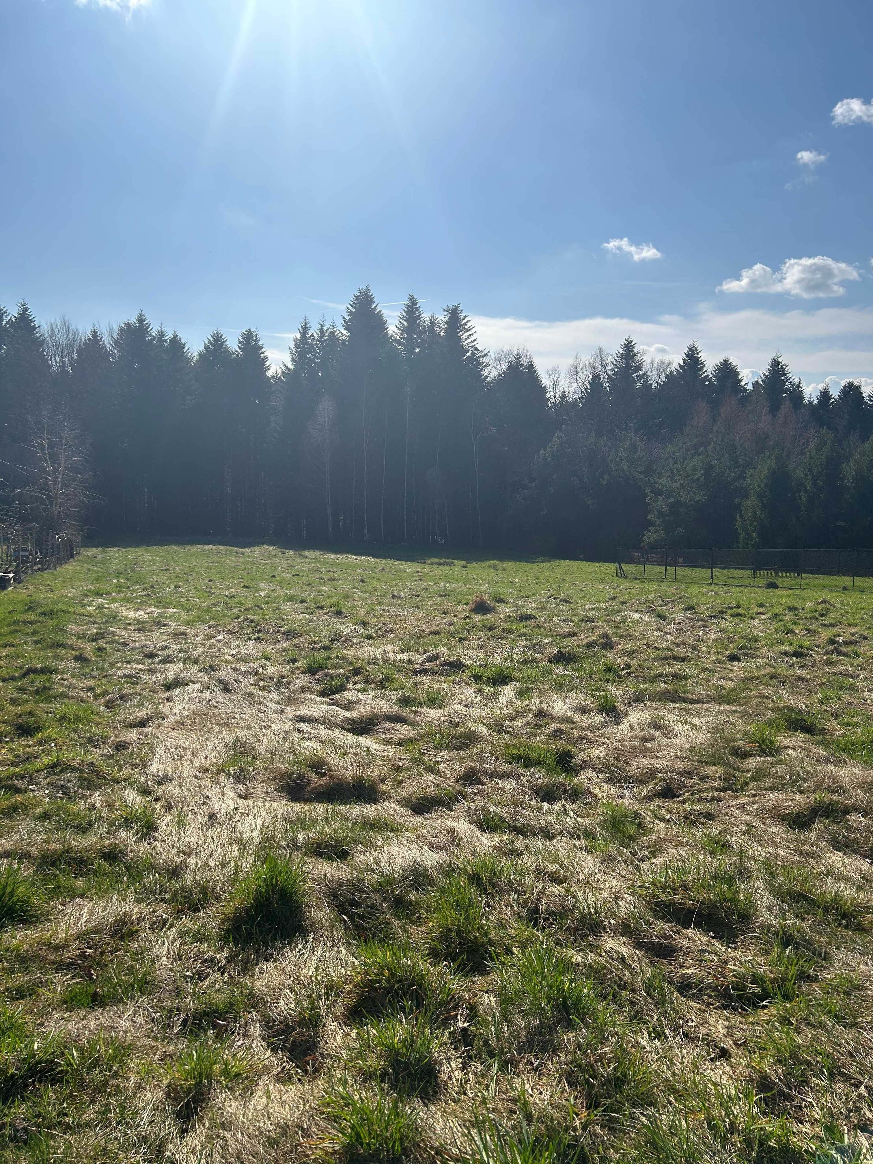 działka przy lesie Stary Wiśnicz