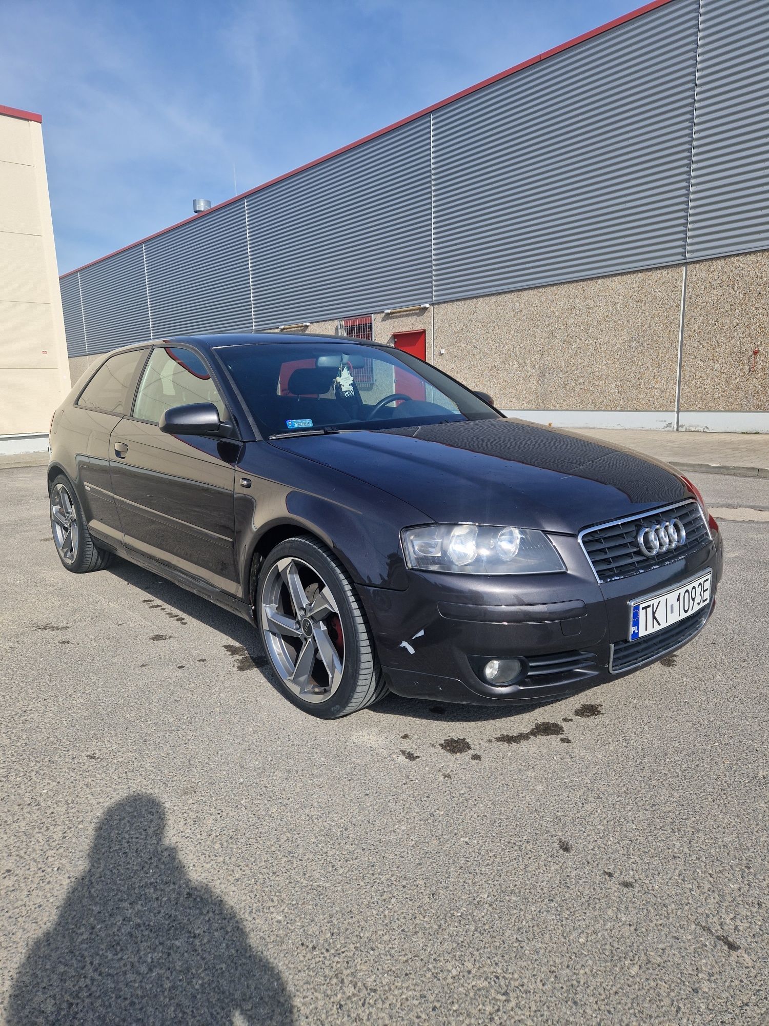 Audi a3 8p 2.0 TDI 170 KM