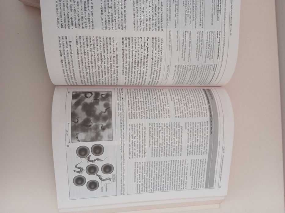Microbiologia, conceitos e aplicações 2. volumes