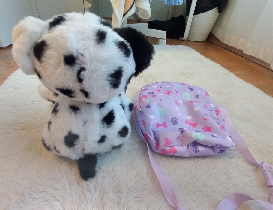 Baby paws dalmata