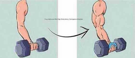 Fat Grip para desenvolvimento muscular e articular