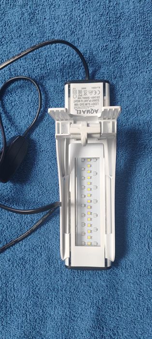 Leddy Duo sunny,plant,night