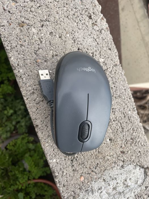 Mouse Logitech M100