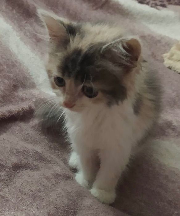 Вона ще зовсім малеча, але вже вміє чекати…