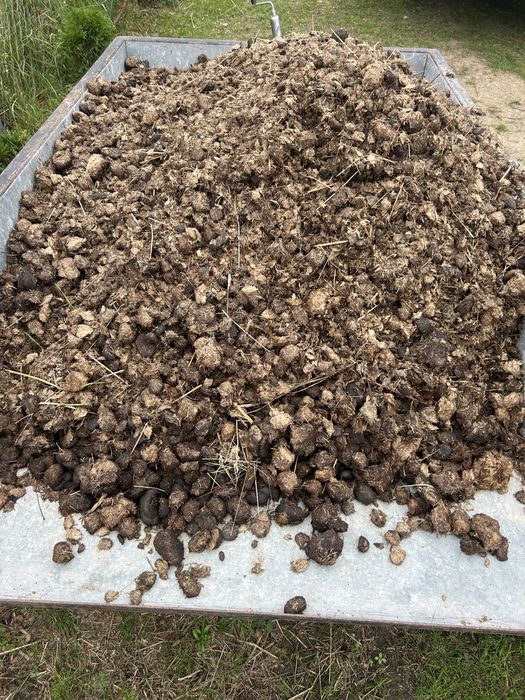 Sprzedam obornik koński