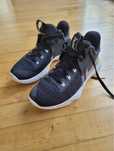 LeBron Witness 4
