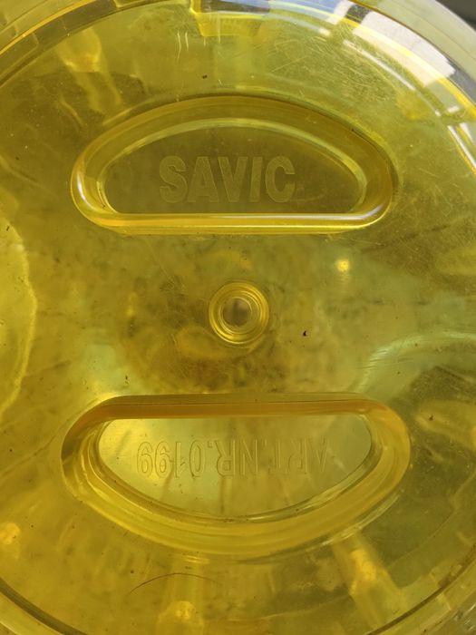 Bola de corrida  para Porquinho-da-India