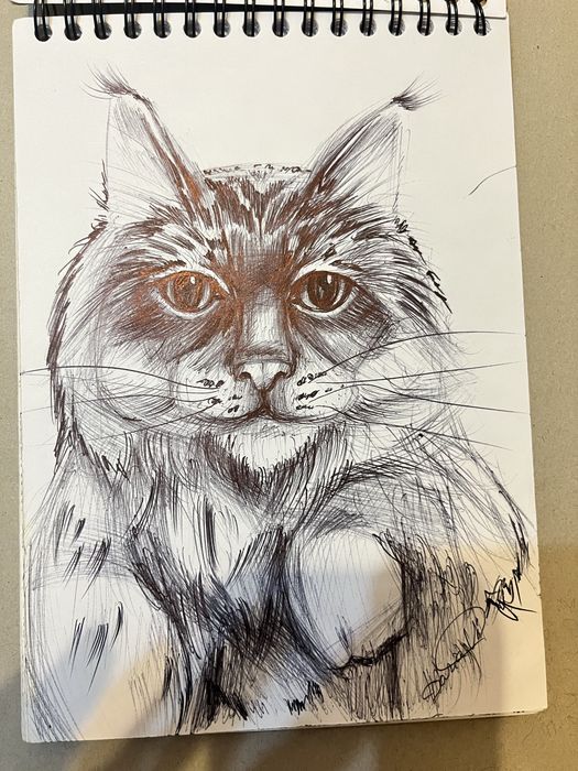 Малюнки начерки картини а5 формату графіка