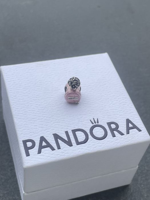 Pandora charms.  .