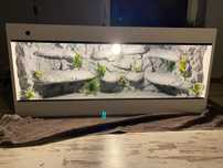 Terrarium dla agamy