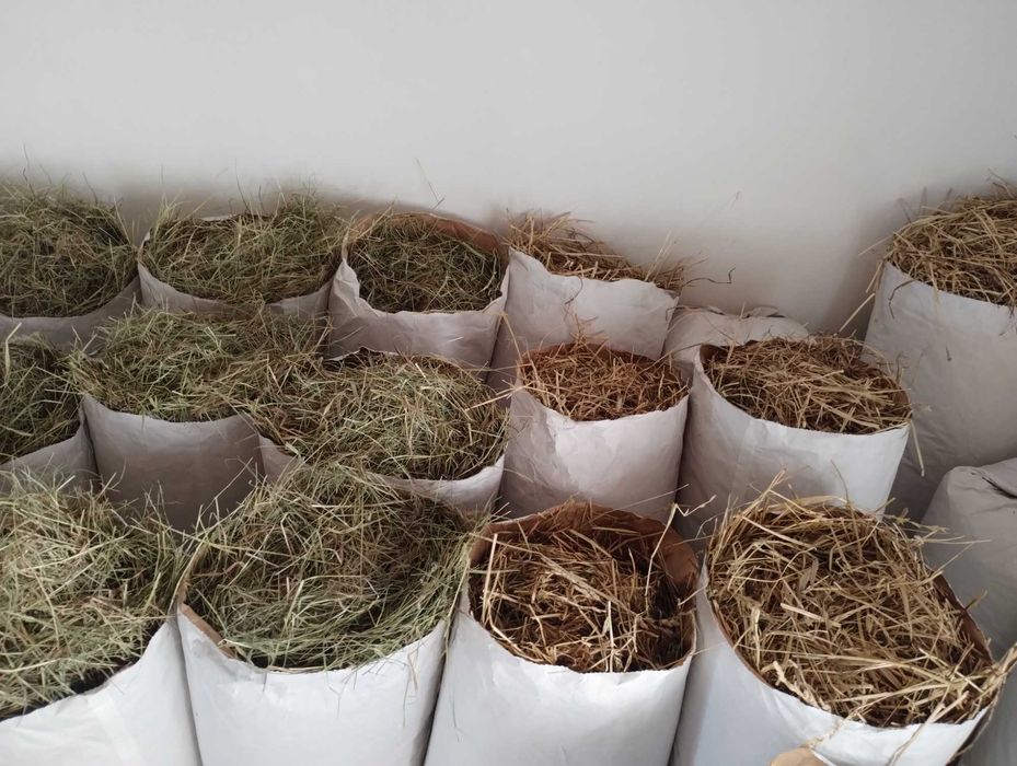 4 kg TANIE siano słomkowe, szybka wysyłka, własna uprawa, dla królika